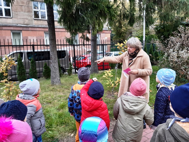 nauczycielka opowiada, pokazując drzewa - dzieci słuchają z zainteresowaniem